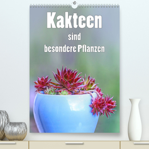 Kakteen sind besondere Pflanzen (Premium, hochwertiger DIN A2 Wandkalender 2022, Kunstdruck in Hochglanz) von Brunner-Klaus,  Liselotte
