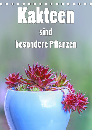 Kakteen sind besondere Pflanzen (Tischkalender 2023 DIN A5 hoch) von Brunner-Klaus,  Liselotte