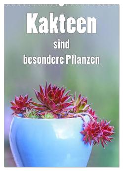 Kakteen sind besondere Pflanzen (Wandkalender 2024 DIN A2 hoch), CALVENDO Monatskalender von Brunner-Klaus,  Liselotte