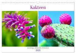 Kakteen – stachelige, blühende Schönheiten (Wandkalender 2024 DIN A3 quer), CALVENDO Monatskalender von Schwarze,  Nina