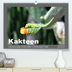 Kakteen – überraschende Gewächse (Premium, hochwertiger DIN A2 Wandkalender 2023, Kunstdruck in Hochglanz) von Bade,  Uwe