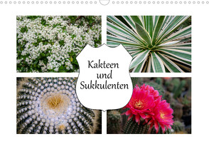 Kakteen und Sukkulenten (Wandkalender 2023 DIN A3 quer) von Gierok,  Steffen
