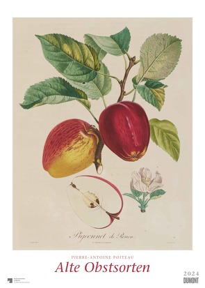 Kal. 2024 Alte Obstsorten von Poiteau,  Pierre Antoine