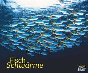 Kal. 2024 Fischschwärme