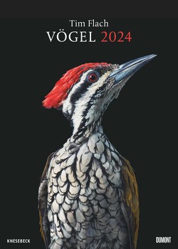 Tim Flach: Vögel 2024 – Posterkalender von DUMONT– Vogel-Porträts von Tim Flach – Poster-Format 50 x 70 cm von Flach,  Tim
