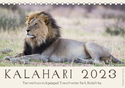 Kalahari – Tierreichtum im Kgalagadi Transfrontier Park, Südafrika (Tischkalender 2023 DIN A5 quer) von Trüssel,  Silvia