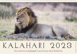 Kalahari – Tierreichtum im Kgalagadi Transfrontier Park, Südafrika (Wandkalender 2023 DIN A2 quer) von Trüssel,  Silvia
