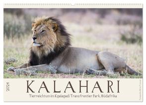 Kalahari – Tierreichtum im Kgalagadi Transfrontier Park, Südafrika (Wandkalender 2024 DIN A2 quer), CALVENDO Monatskalender von Trüssel,  Silvia