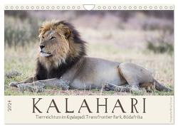 Kalahari – Tierreichtum im Kgalagadi Transfrontier Park, Südafrika (Wandkalender 2024 DIN A4 quer), CALVENDO Monatskalender von Trüssel,  Silvia