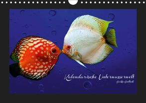 Kalendarische Unterwasserwelt (Wandkalender 2019 DIN A4 quer) von Hultsch,  Heike
