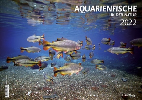 Kalender Aquarienfische (in der Natur) 2022 von Lucanus,  Oliver