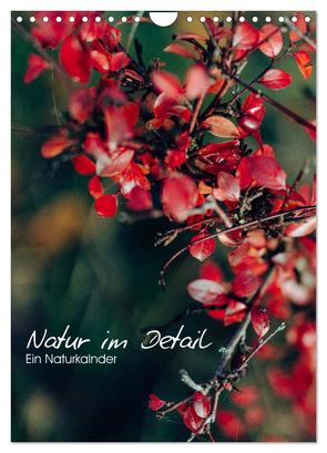 Kalender – Natur im Detail (Wandkalender 2024 DIN A4 hoch), CALVENDO Monatskalender von Maxi Sängerlaub,  HIGHLIGHT.photo