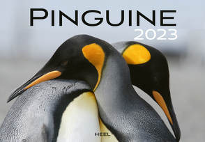 Kalender Pinguine 2023