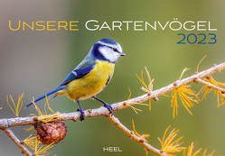 Kalender Unsere Gartenvögel 2023