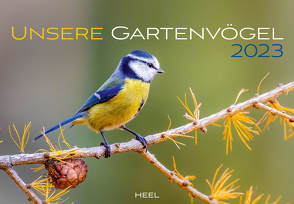 Kalender Unsere Gartenvögel 2023