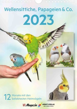 Kalender Wellensittiche, Papageien & Co 2023