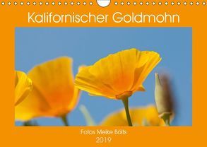 Kalifornischer Goldmohn (Wandkalender 2019 DIN A4 quer) von Bölts,  Meike