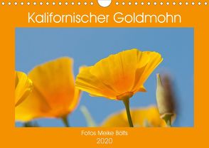 Kalifornischer Goldmohn (Wandkalender 2020 DIN A4 quer) von Bölts,  Meike