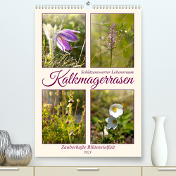 Kalkmagerrasen (Premium, hochwertiger DIN A2 Wandkalender 2023, Kunstdruck in Hochglanz) von Löwer,  Sabine