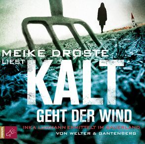 Kalt geht der Wind von Droste,  Meike, Welter/Gantenberg