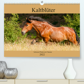 Kaltblüter – Schwere Pferde mit Charme (Premium, hochwertiger DIN A2 Wandkalender 2022, Kunstdruck in Hochglanz) von Bölts,  Meike