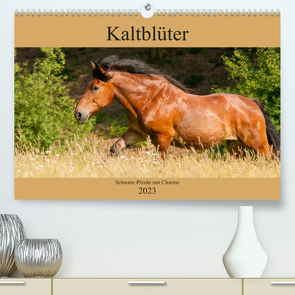 Kaltblüter – Schwere Pferde mit Charme (Premium, hochwertiger DIN A2 Wandkalender 2023, Kunstdruck in Hochglanz) von Bölts,  Meike