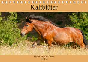 Kaltblüter – Schwere Pferde mit Charme (Tischkalender 2019 DIN A5 quer) von Bölts,  Meike