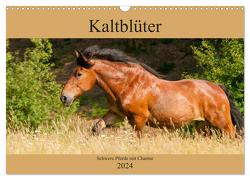 Kaltblüter – Schwere Pferde mit Charme (Wandkalender 2024 DIN A3 quer), CALVENDO Monatskalender von Bölts,  Meike