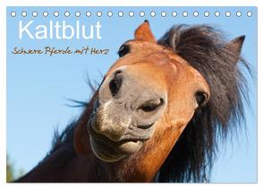 Kaltblut – schwere Pferde mit Herz (Tischkalender 2024 DIN A5 quer), CALVENDO Monatskalender von Bölts,  Meike