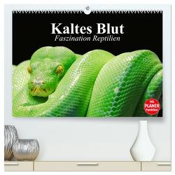 Kaltes Blut. Faszination Reptilien (hochwertiger Premium Wandkalender 2024 DIN A2 quer), Kunstdruck in Hochglanz von Stanzer,  Elisabeth