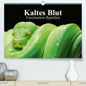 Kaltes Blut. Faszination Reptilien (Premium, hochwertiger DIN A2 Wandkalender 2021, Kunstdruck in Hochglanz) von Stanzer,  Elisabeth