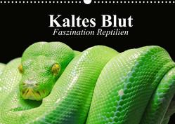 Kaltes Blut. Faszination Reptilien (Wandkalender 2022 DIN A3 quer) von Stanzer,  Elisabeth