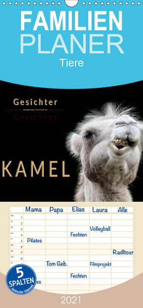 Kamel Gesichter – Familienplaner hoch (Wandkalender 2021 , 21 cm x 45 cm, hoch) von Roder,  Peter