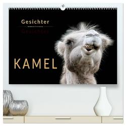 Kamel Gesichter (hochwertiger Premium Wandkalender 2024 DIN A2 quer), Kunstdruck in Hochglanz von Roder,  Peter