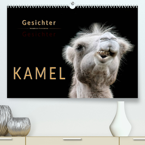 Kamel Gesichter (Premium, hochwertiger DIN A2 Wandkalender 2022, Kunstdruck in Hochglanz) von Roder,  Peter