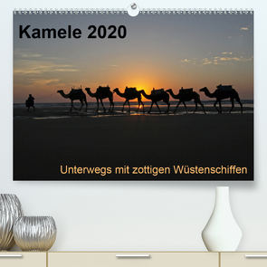 Kamele 2020 – Unterwegs mit zottigen WüstenschiffenCH-Version (Premium, hochwertiger DIN A2 Wandkalender 2020, Kunstdruck in Hochglanz) von Weber,  Melanie