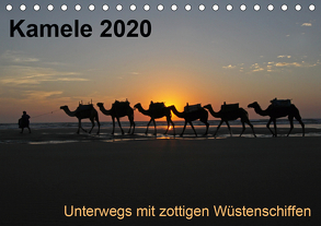 Kamele 2020 – Unterwegs mit zottigen WüstenschiffenCH-Version (Tischkalender 2020 DIN A5 quer) von Weber,  Melanie