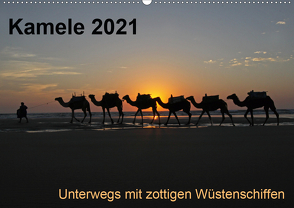 Kamele 2021 – Unterwegs mit zottigen WüstenschiffenCH-Version (Wandkalender 2021 DIN A2 quer) von Weber,  Melanie