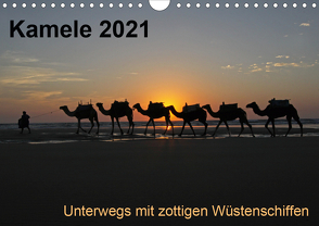 Kamele 2021 – Unterwegs mit zottigen WüstenschiffenCH-Version (Wandkalender 2021 DIN A4 quer) von Weber,  Melanie