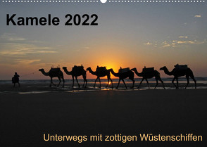 Kamele 2022 – Unterwegs mit zottigen WüstenschiffenCH-Version (Wandkalender 2022 DIN A2 quer) von Weber,  Melanie