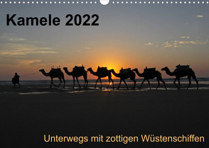 Kamele 2022 – Unterwegs mit zottigen WüstenschiffenCH-Version (Wandkalender 2022 DIN A3 quer) von Weber,  Melanie