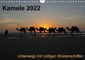 Kamele 2022 – Unterwegs mit zottigen WüstenschiffenCH-Version (Wandkalender 2022 DIN A4 quer) von Weber,  Melanie