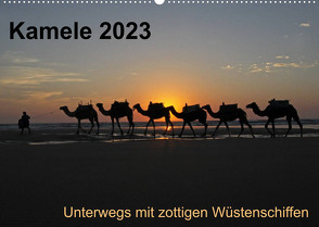 Kamele 2023 – Unterwegs mit zottigen WüstenschiffenCH-Version (Wandkalender 2023 DIN A2 quer) von Weber,  Melanie