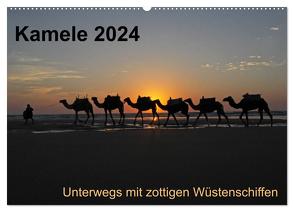 Kamele 2024 – Unterwegs mit zottigen Wüstenschiffen (Wandkalender 2024 DIN A2 quer), CALVENDO Monatskalender von Weber,  Melanie