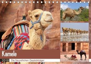 Kamele – Die freundlichen Gepäckträger (Tischkalender 2018 DIN A5 quer) von Herzog,  Michael