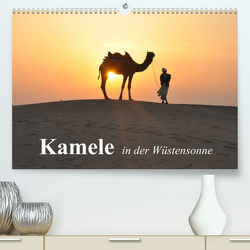 Kamele in der Wüstensonne (Premium, hochwertiger DIN A2 Wandkalender 2023, Kunstdruck in Hochglanz) von Stanzer,  Elisabeth