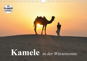 Kamele in der Wüstensonne (Wandkalender 2021 DIN A4 quer) von Stanzer,  Elisabeth