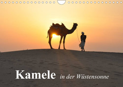 Kamele in der Wüstensonne (Wandkalender 2023 DIN A4 quer) von Stanzer,  Elisabeth