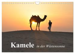 Kamele in der Wüstensonne (Wandkalender 2024 DIN A4 quer), CALVENDO Monatskalender von Stanzer,  Elisabeth