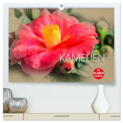 Kamelien Blüten (hochwertiger Premium Wandkalender 2024 DIN A2 quer), Kunstdruck in Hochglanz von Meutzner,  Dirk
